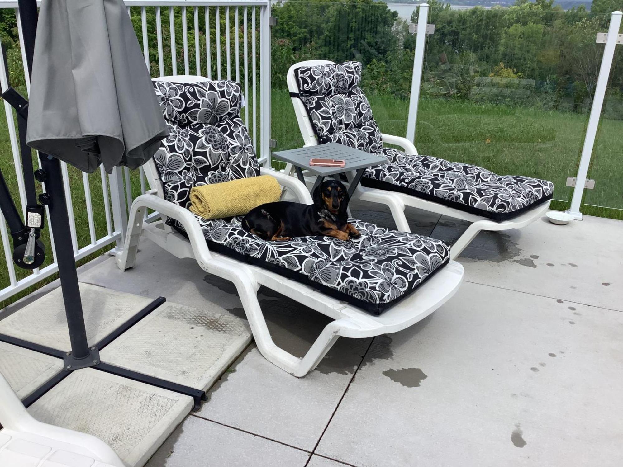 Lotbiniere Les Saisons Du Fleuve B&B 외부 사진
